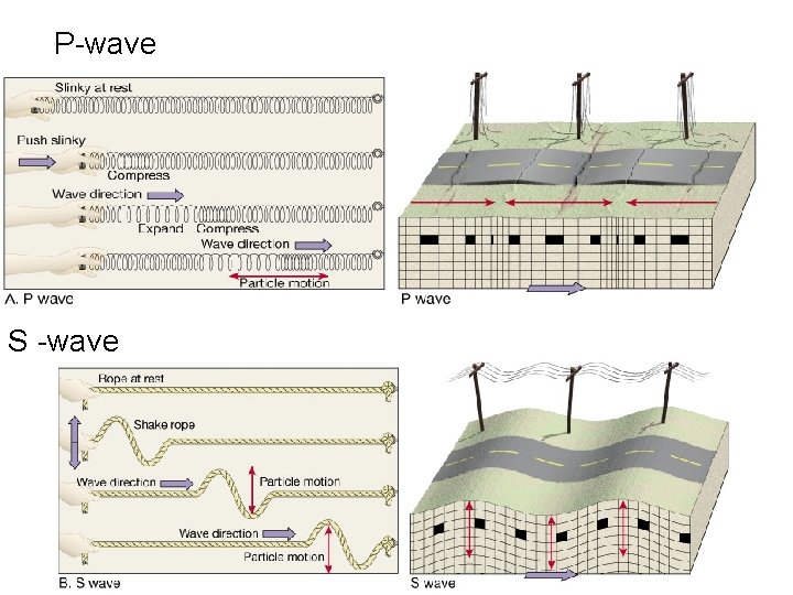 P-wave S -wave P-wave S -wave