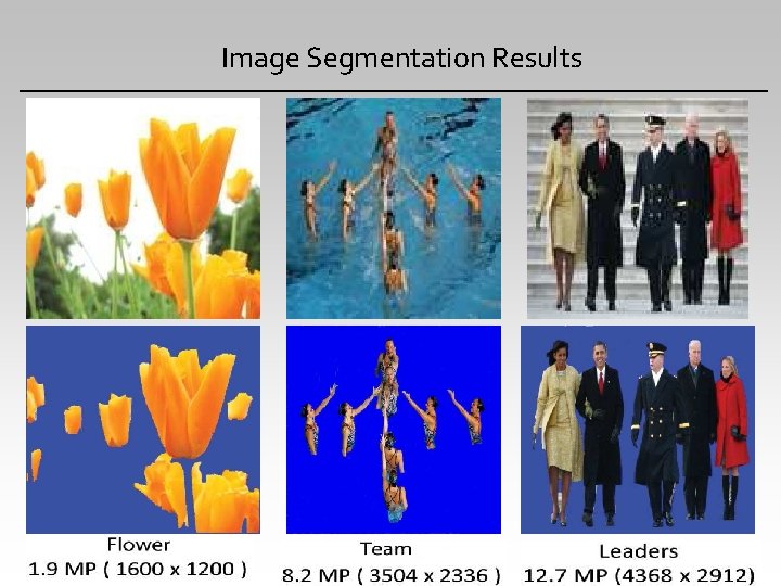 Image Segmentation Results 