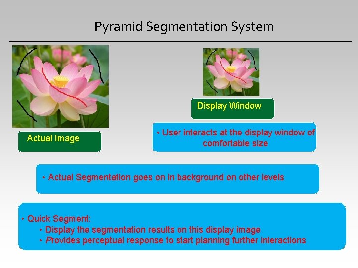 Pyramid Segmentation System Display Window Actual Image • User interacts at the display window