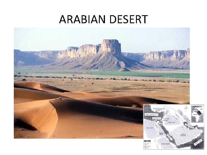 ARABIAN DESERT 