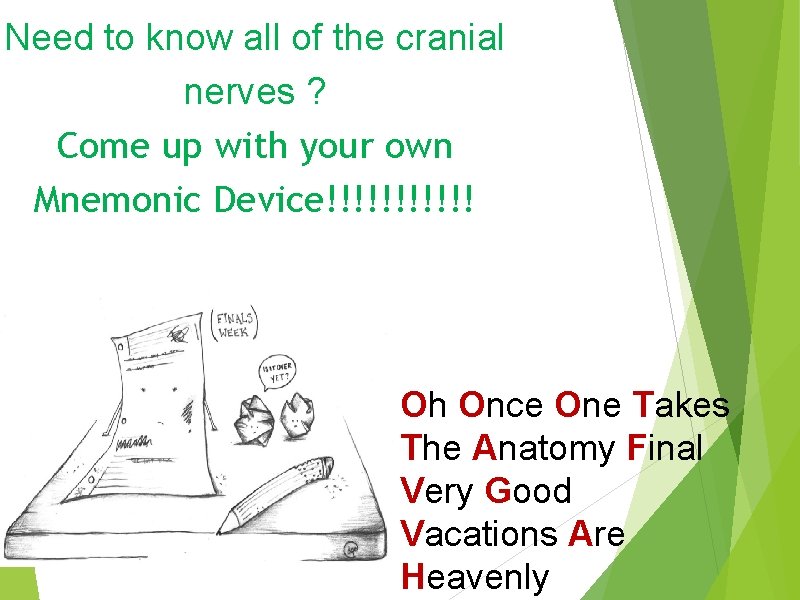 Need to know all of the cranial nerves ? Come up with your own
