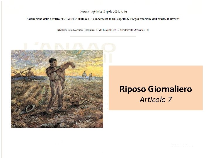 Riposo Giornaliero Articolo 7 