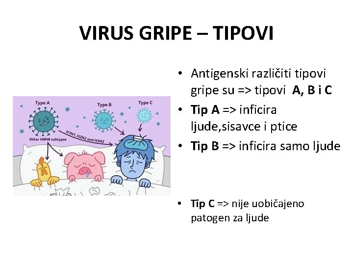 VIRUS GRIPE – TIPOVI • Antigenski različiti tipovi gripe su => tipovi A, B VIRUS GRIPE – TIPOVI • Antigenski različiti tipovi gripe su => tipovi A, B