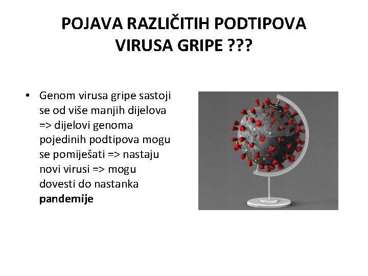 POJAVA RAZLIČITIH PODTIPOVA VIRUSA GRIPE ? ? ? • Genom virusa gripe sastoji se