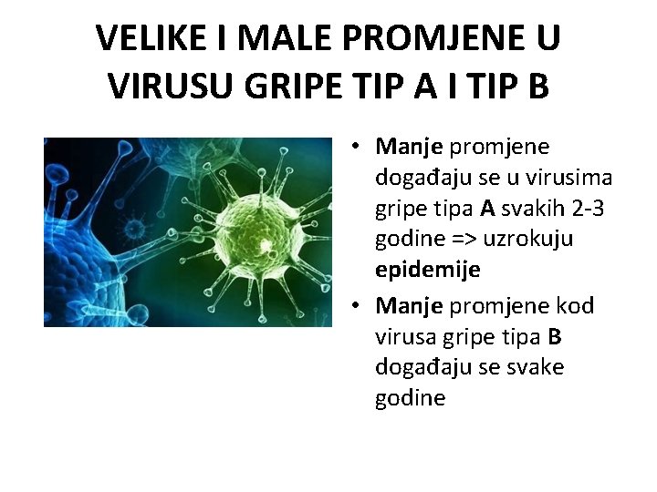 VELIKE I MALE PROMJENE U VIRUSU GRIPE TIP A I TIP B • Manje