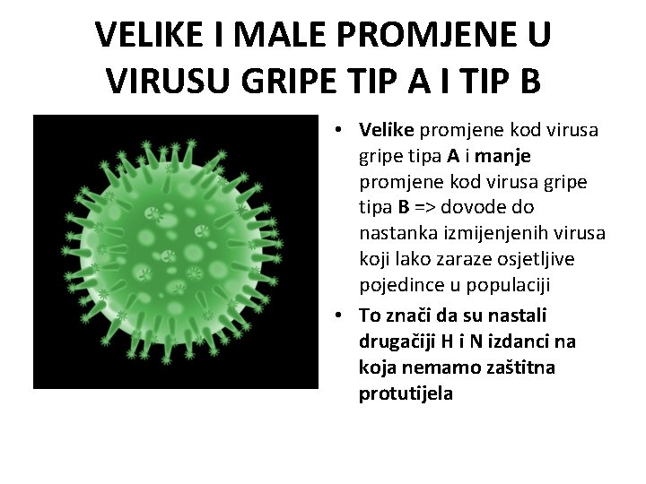 VELIKE I MALE PROMJENE U VIRUSU GRIPE TIP A I TIP B • Velike