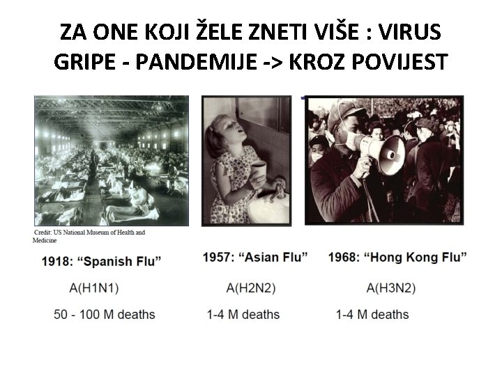 ZA ONE KOJI ŽELE ZNETI VIŠE : VIRUS GRIPE - PANDEMIJE -> KROZ POVIJEST ZA ONE KOJI ŽELE ZNETI VIŠE : VIRUS GRIPE - PANDEMIJE -> KROZ POVIJEST