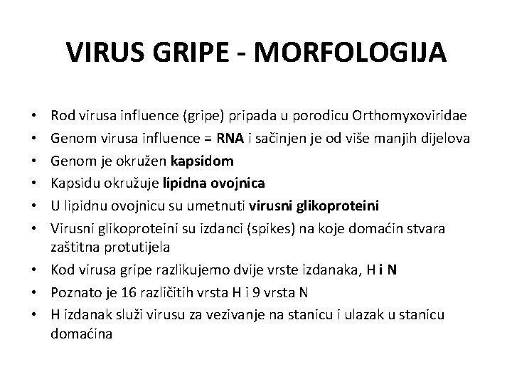 VIRUS GRIPE - MORFOLOGIJA Rod virusa influence (gripe) pripada u porodicu Orthomyxoviridae Genom virusa VIRUS GRIPE - MORFOLOGIJA Rod virusa influence (gripe) pripada u porodicu Orthomyxoviridae Genom virusa