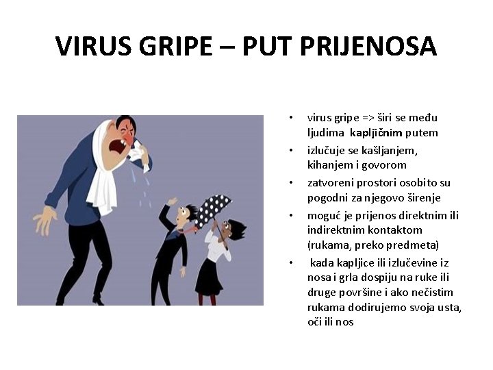 VIRUS GRIPE – PUT PRIJENOSA • • • virus gripe => širi se među VIRUS GRIPE – PUT PRIJENOSA • • • virus gripe => širi se među