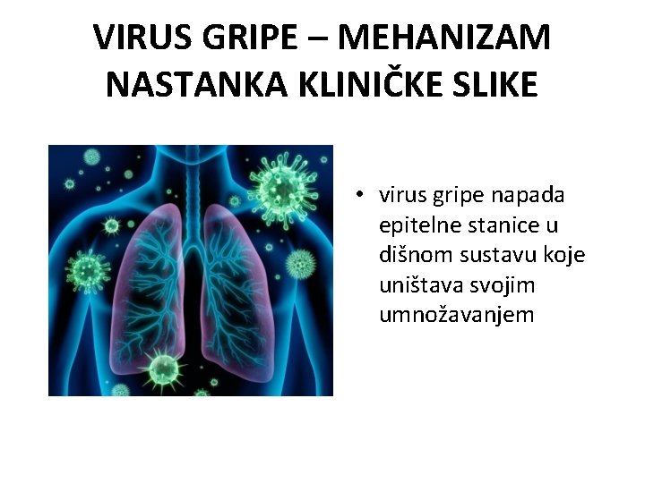 VIRUS GRIPE – MEHANIZAM NASTANKA KLINIČKE SLIKE • virus gripe napada epitelne stanice u