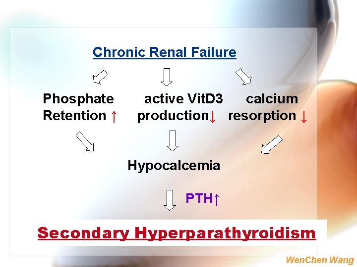 Chronic Renal Failure Phosphate Retention ↑ active Vit. D 3 calcium production↓ resorption ↓