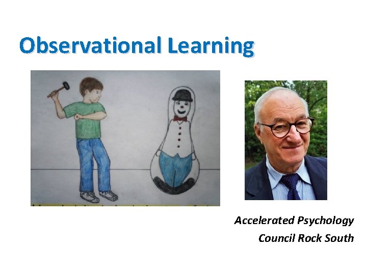 Observational Learning Accelerated Psychology Council Rock South 