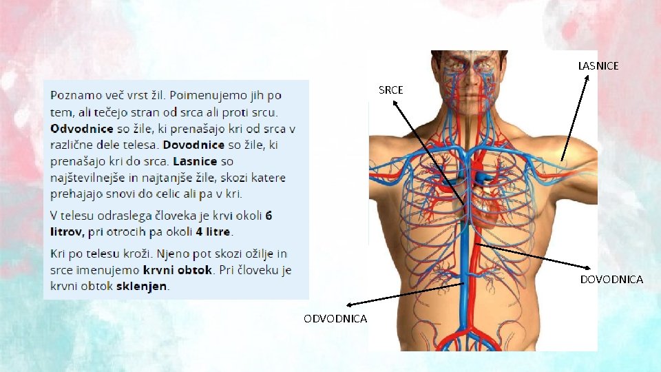 LASNICE SRCE DOVODNICA ODVODNICA 