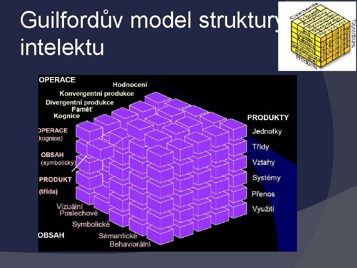 Guilfordův model struktury intelektu 