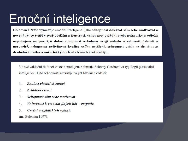 Emoční inteligence 