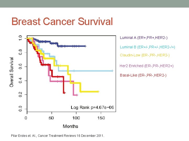 Breast Cancer Survival Luminal A (ER+, PR+, HER 2 -) Luminal B (ER+/-, PR+/-, Breast Cancer Survival Luminal A (ER+, PR+, HER 2 -) Luminal B (ER+/-, PR+/-,