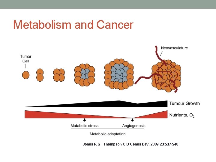 Metabolism and Cancer Jones R G , Thompson C B Genes Dev. 2009; 23: Metabolism and Cancer Jones R G , Thompson C B Genes Dev. 2009; 23: