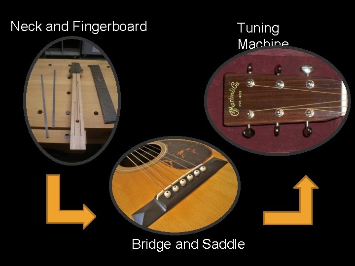 Neck and Fingerboard Tuning Machine Bridge and Saddle 