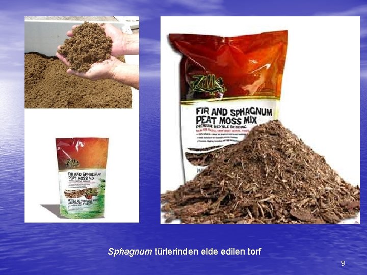 Sphagnum türlerinden elde edilen torf 9 