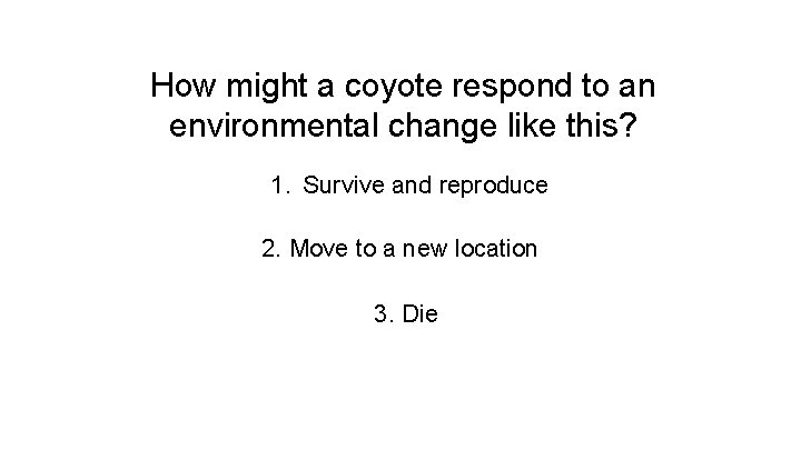 How might a coyote respond to an environmental change like this? 1. Survive and