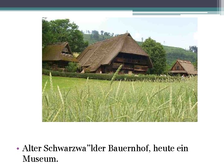  • Alter Schwarzwa’’lder Bauernhof, heute ein Museum. 