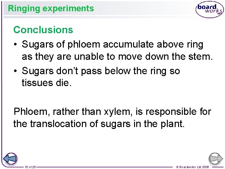 Ringing experiments Conclusions • Sugars of phloem accumulate above ring as they are unable