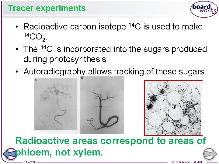 Tracer experiments • Radioactive carbon isotope 14 C is used to make 14 CO.