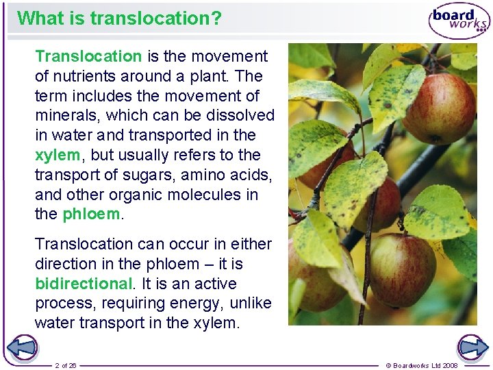 What is translocation? Translocation is the movement of nutrients around a plant. The term