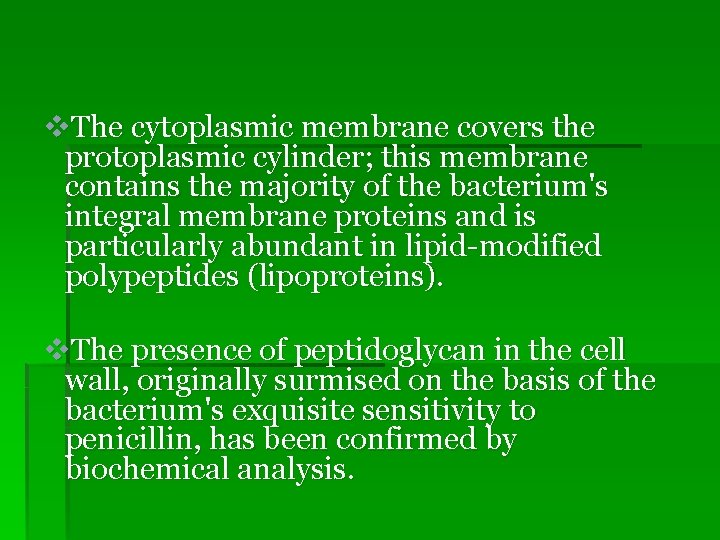 v. The cytoplasmic membrane covers the protoplasmic cylinder; this membrane contains the majority of v. The cytoplasmic membrane covers the protoplasmic cylinder; this membrane contains the majority of
