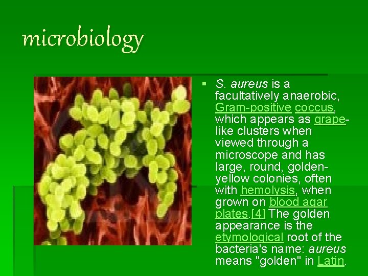 microbiology § S. aureus is a facultatively anaerobic, Gram-positive coccus, which appears as grapelike microbiology § S. aureus is a facultatively anaerobic, Gram-positive coccus, which appears as grapelike