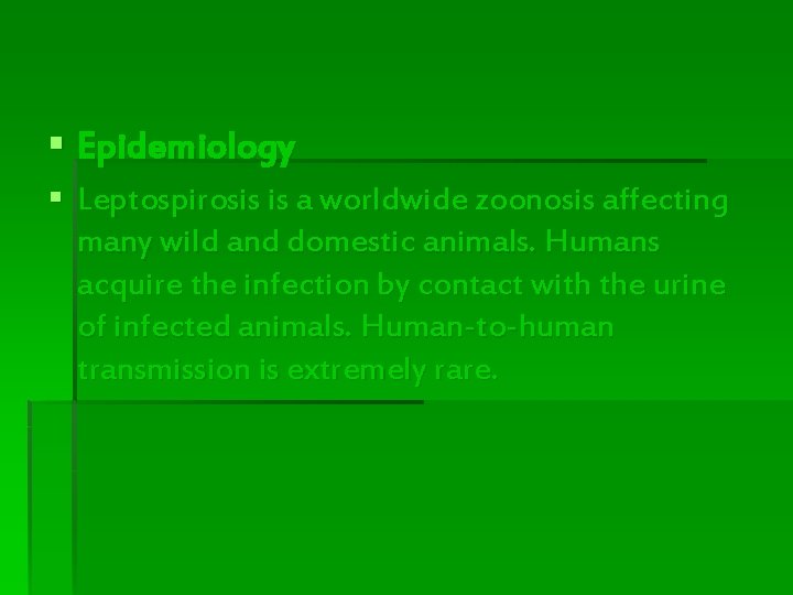 § Epidemiology § Leptospirosis is a worldwide zoonosis affecting many wild and domestic animals. § Epidemiology § Leptospirosis is a worldwide zoonosis affecting many wild and domestic animals.