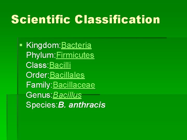 Scientific Classification § Kingdom: Bacteria Phylum: Firmicutes Class: Bacilli Order: Bacillales Family: Bacillaceae Genus: Scientific Classification § Kingdom: Bacteria Phylum: Firmicutes Class: Bacilli Order: Bacillales Family: Bacillaceae Genus: