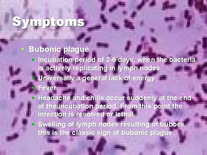 Symptoms § Bubonic plague § Incubation period of 2 -6 days, when the bacteria Symptoms § Bubonic plague § Incubation period of 2 -6 days, when the bacteria