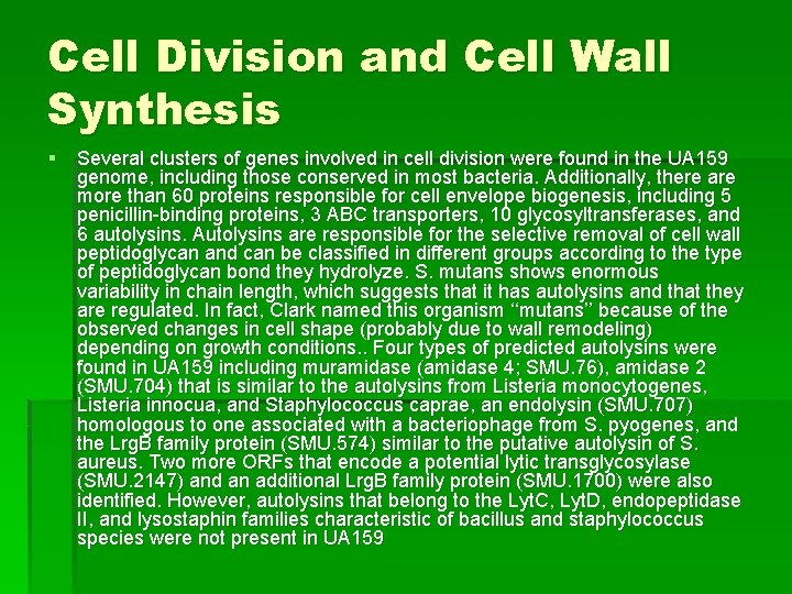Cell Division and Cell Wall Synthesis § Several clusters of genes involved in cell Cell Division and Cell Wall Synthesis § Several clusters of genes involved in cell