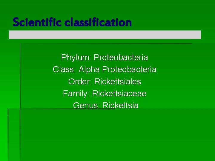 Scientific classification Phylum: Proteobacteria Class: Alpha Proteobacteria Order: Rickettsiales Family: Rickettsiaceae Genus: Rickettsia Scientific classification Phylum: Proteobacteria Class: Alpha Proteobacteria Order: Rickettsiales Family: Rickettsiaceae Genus: Rickettsia