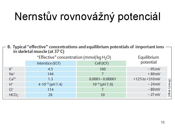 Nernstův rovnovážný potenciál 10 