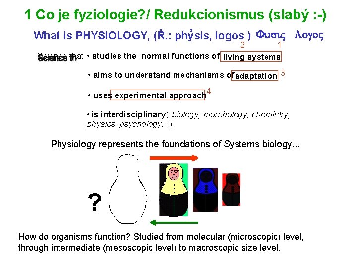 1 Co je fyziologie? / Redukcionismus (slabý : -) , What is PHYSIOLOGY, (Ř.