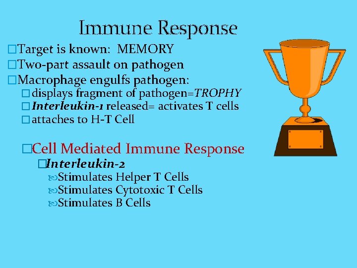 Immune Response �Target is known: MEMORY �Two-part assault on pathogen �Macrophage engulfs pathogen: �