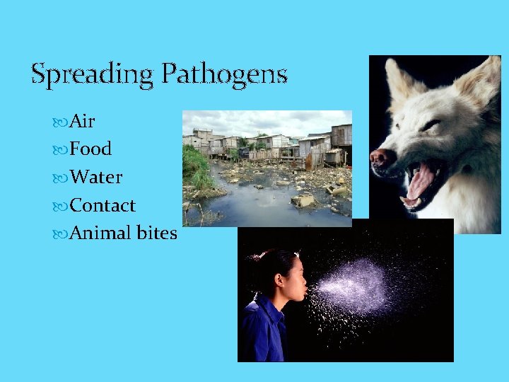 Spreading Pathogens Air Food Water Contact Animal bites 