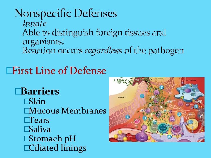 Nonspecific Defenses Innate Able to distinguish foreign tissues and organisms! Reaction occurs regardless of