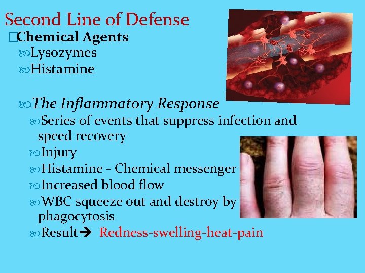 Second Line of Defense �Chemical Agents Lysozymes Histamine The Inflammatory Response Series of events