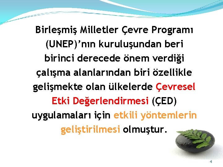 Birleşmiş Milletler Çevre Programı (UNEP)’nın kuruluşundan beri birinci derecede önem verdiği çalışma alanlarından biri