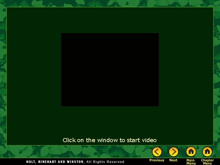 Click on the window to start video 