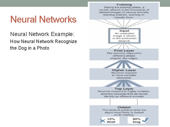Neural Networks Neural Network Example: How Neural Network Recognize the Dog in a Photo