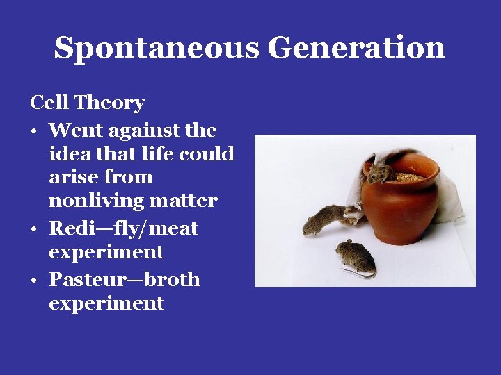 Spontaneous Generation Cell Theory • Went against the idea that life could arise from