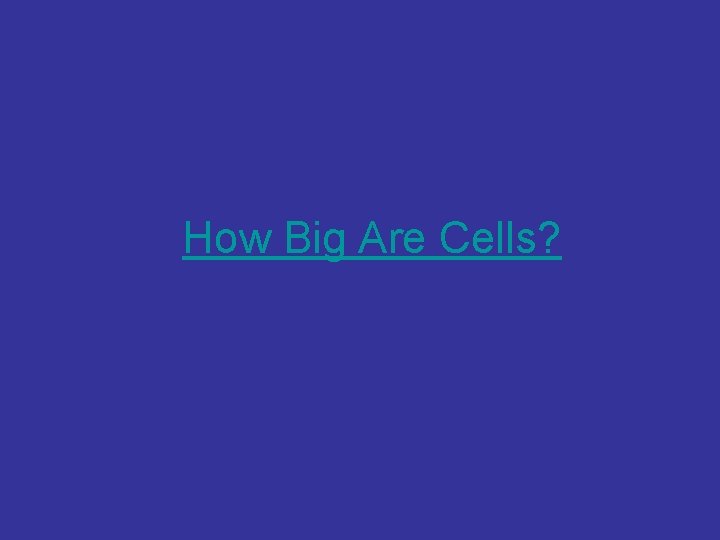 How Big Are Cells? 
