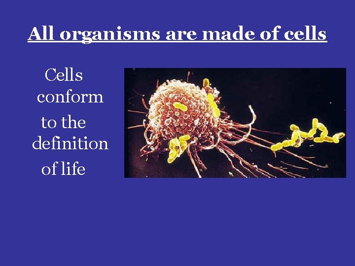 All organisms are made of cells Cells conform to the definition of life 