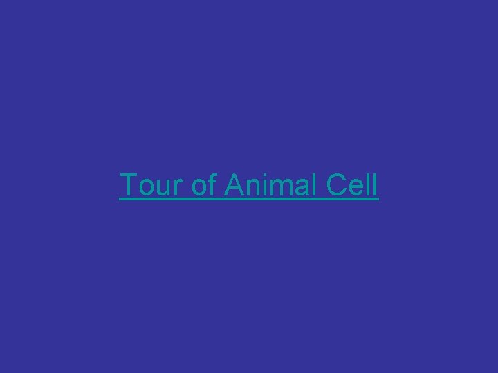 Tour of Animal Cell 