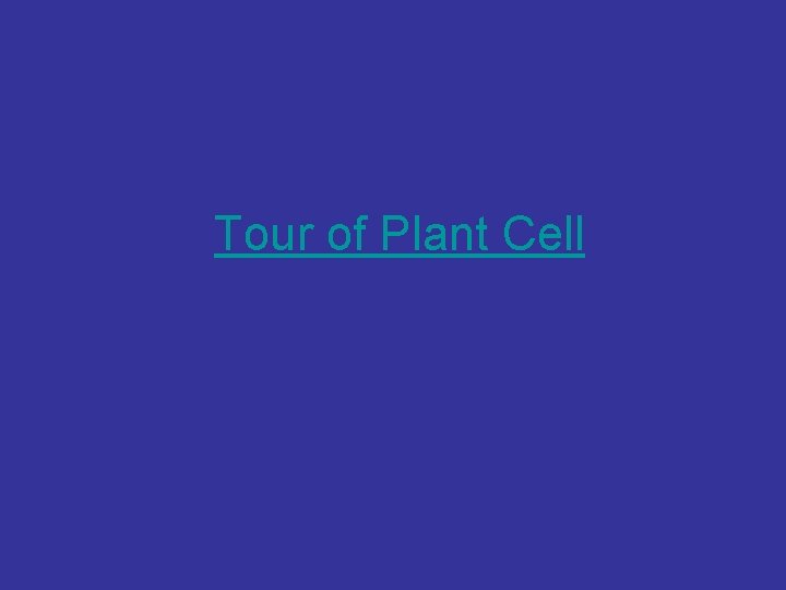 Tour of Plant Cell 