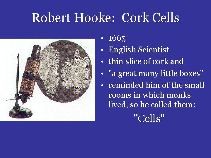 Robert Hooke: Cork Cells • • • 1665 English Scientist thin slice of cork